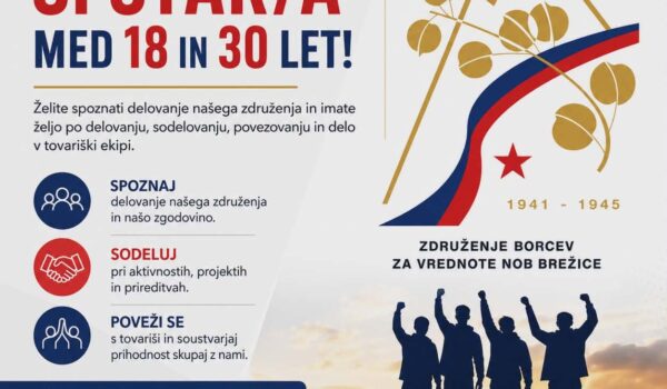 Mladinska organizacija