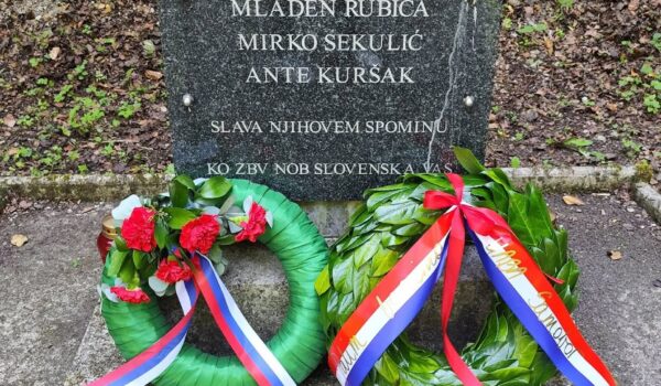 Mednarodno sodelovanje